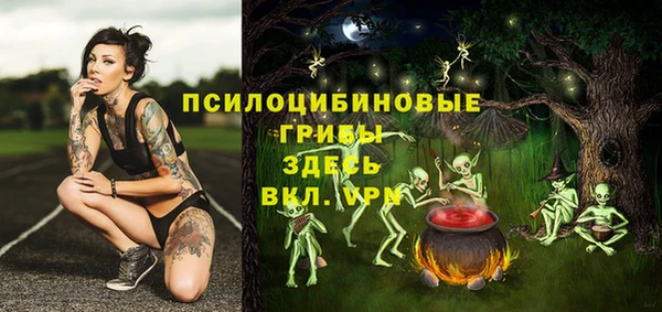 ГАЛЛЮЦИНОГЕННЫЕ ГРИБЫ Нея
