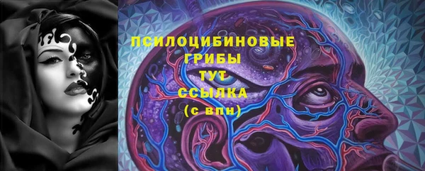 ГАЛЛЮЦИНОГЕННЫЕ ГРИБЫ Нея
