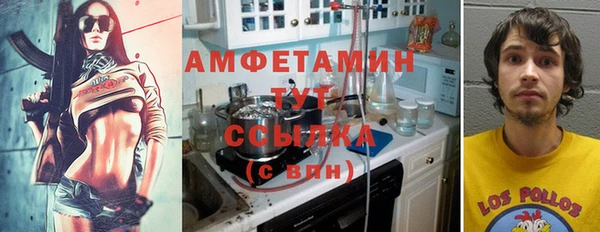 ГАЛЛЮЦИНОГЕННЫЕ ГРИБЫ Нея