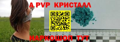 стаф Гусев