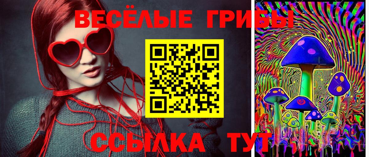 Искитим  Галлюциногенные грибы Cubensis  Вход с VPN  Галлюциногенные грибы Psilocybe 